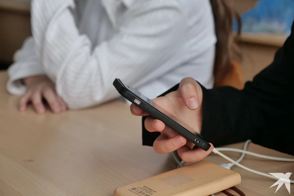 В Министерстве образования отмечают, что на новой платформе будут представлены ключевые функции «Сферума»