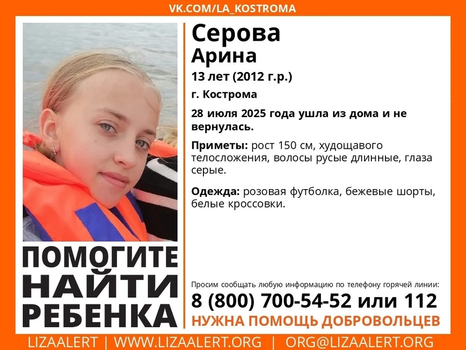 Фото: Поисковый отряд добровольцев "ЛизаАлерт"