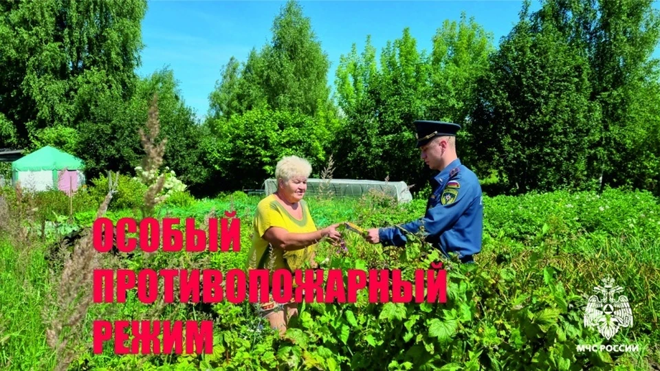 Фото: пресс-служба ГУ МЧС России по Костромской области