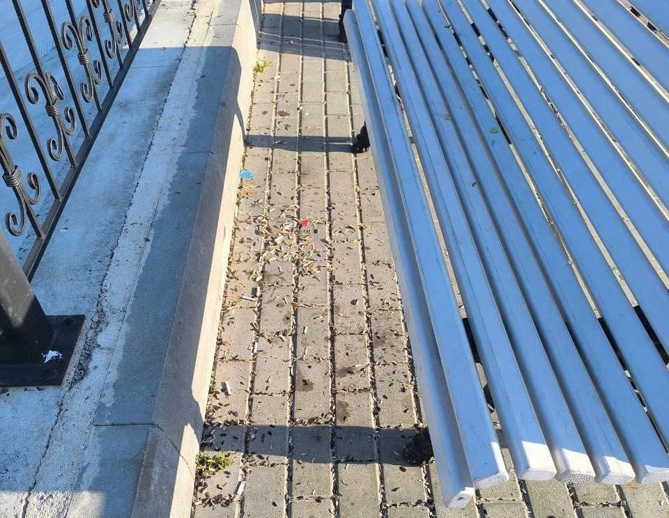 Глава Городца возмутился оставленным на набережной шелухой от семечек. Фото: t.me/gorodetsmudrov
