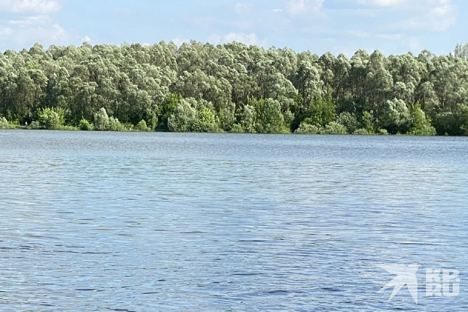 На Борковском карьере погиб подросток.
