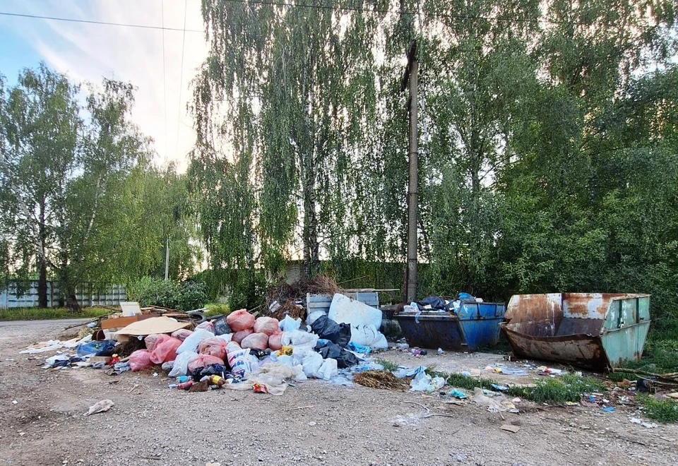 В Тарусе жители возмущены из-за антисанитарии на мусорной площадке.