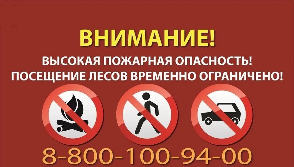 Специалисты контролируют соблюдение пожарной безопасности в лесах региона. Фото: пресс-служба Губернатора Астраханской области