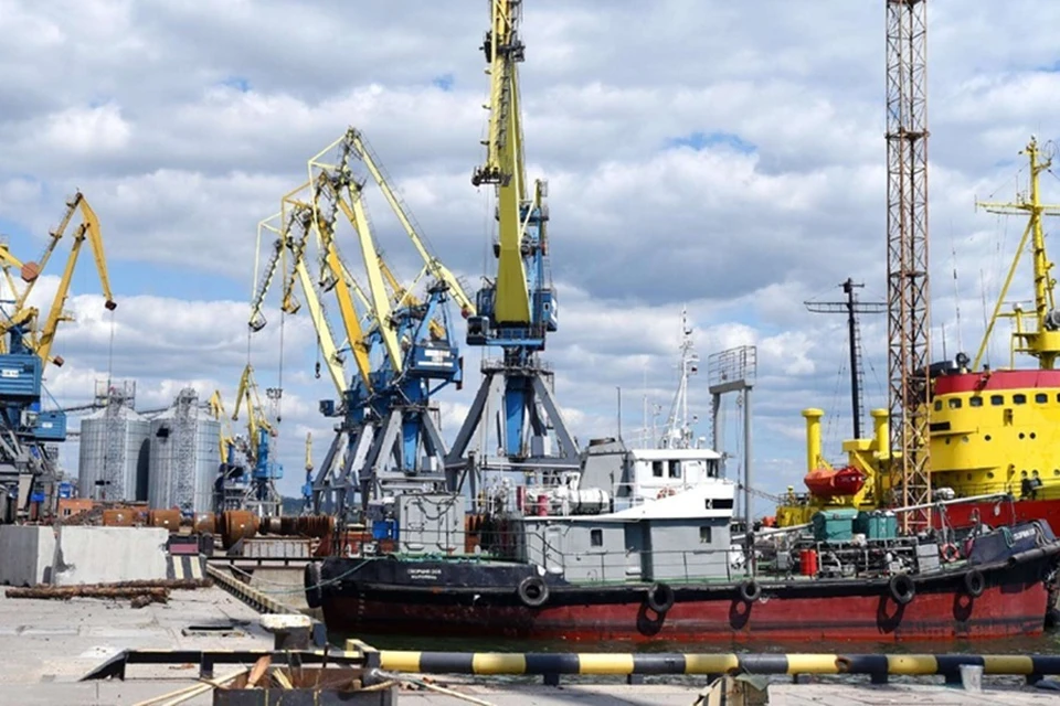 С начала 2025 года через Мариупольский порт перевалили 24 тысячи тонн зерна. Фото: Минсельхоз ДНР