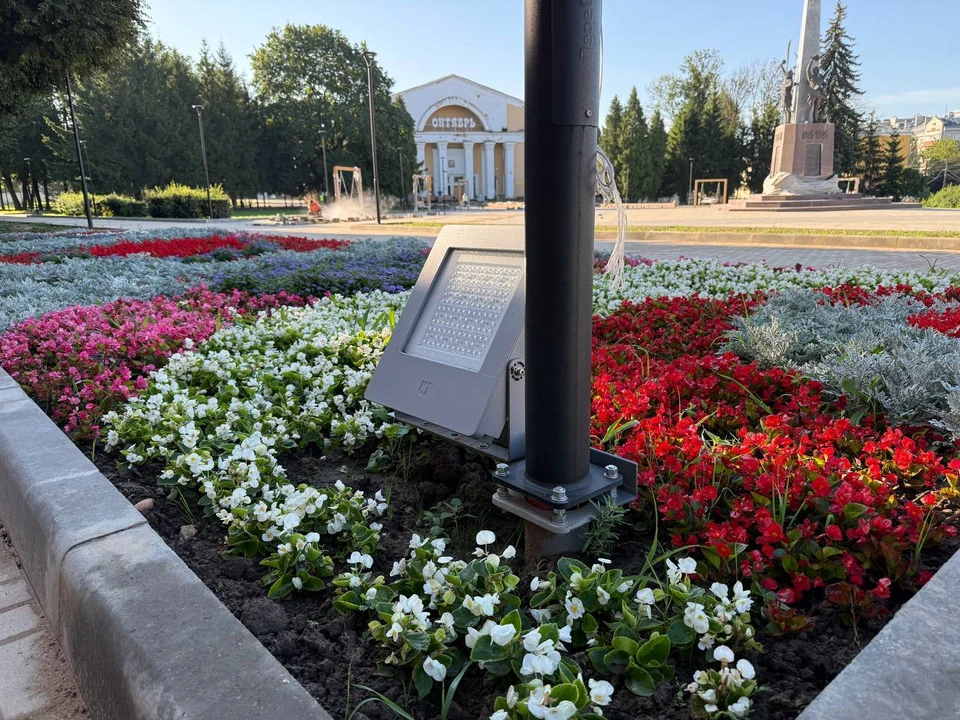 Фото: Александр Новиков.