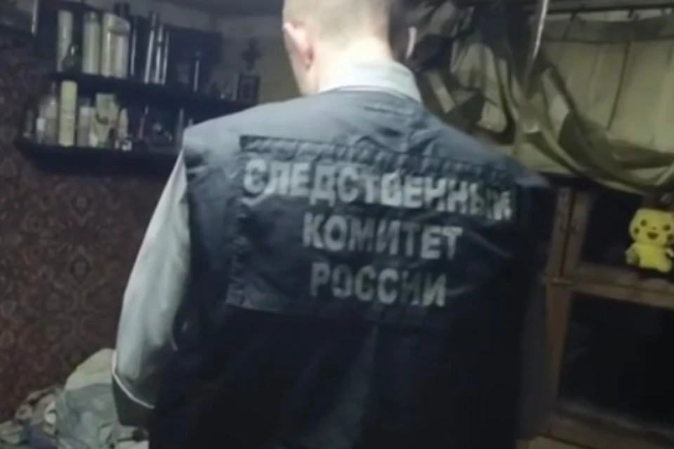 Следователи показали, как выглядит дом, на участке которого сожгли тело новорожденного. Фото: стоп-кадр ГСУ СК России по Санкт-Петербургу