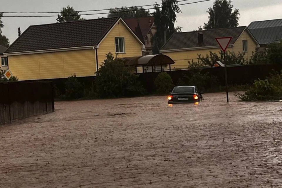 Деревья повалило из-за ураганного ветра в Арзамасе. Фото: телеграм-канал «Нижний 24»