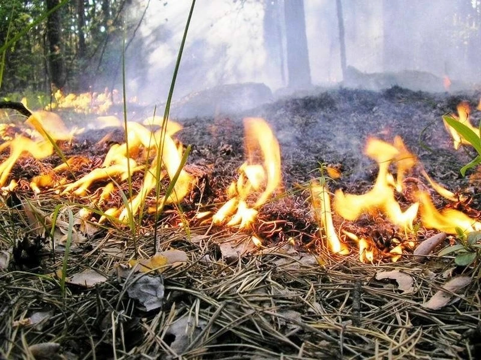Пожары продолжают возникать