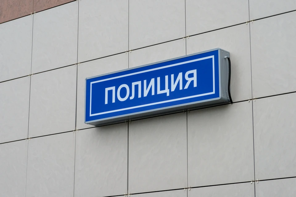 Школьница, напавшая на 14-летнюю девочку под Новосибирском, стоит на учете в ПНД.