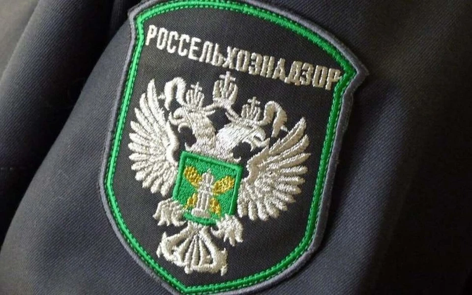 Фото: пресс-служба Азово-Черноморского межрегионального управления Россельхознадзора
