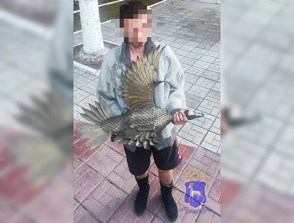 В один из дней утка пропала.