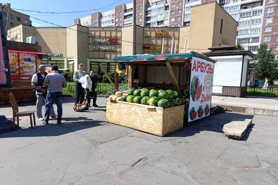 В ходе операций изъято более тонны овощей и фруктов. Фото: ККИ