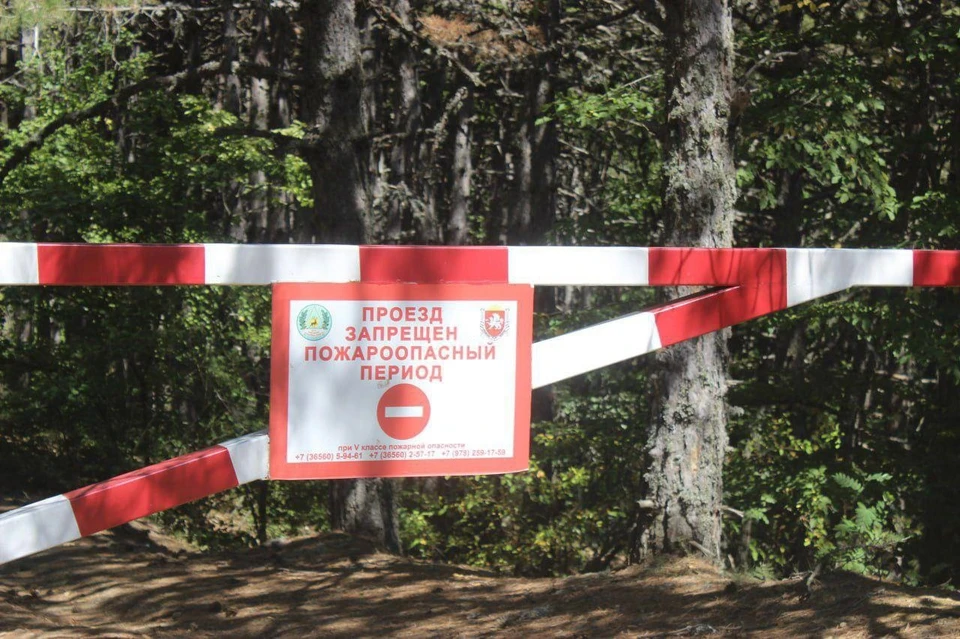 Нарушения режима чреваты наказанием. Фото: 82.mchs.gov.ru