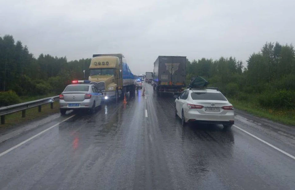 Фото: Госавтоинспекция Красноярского края