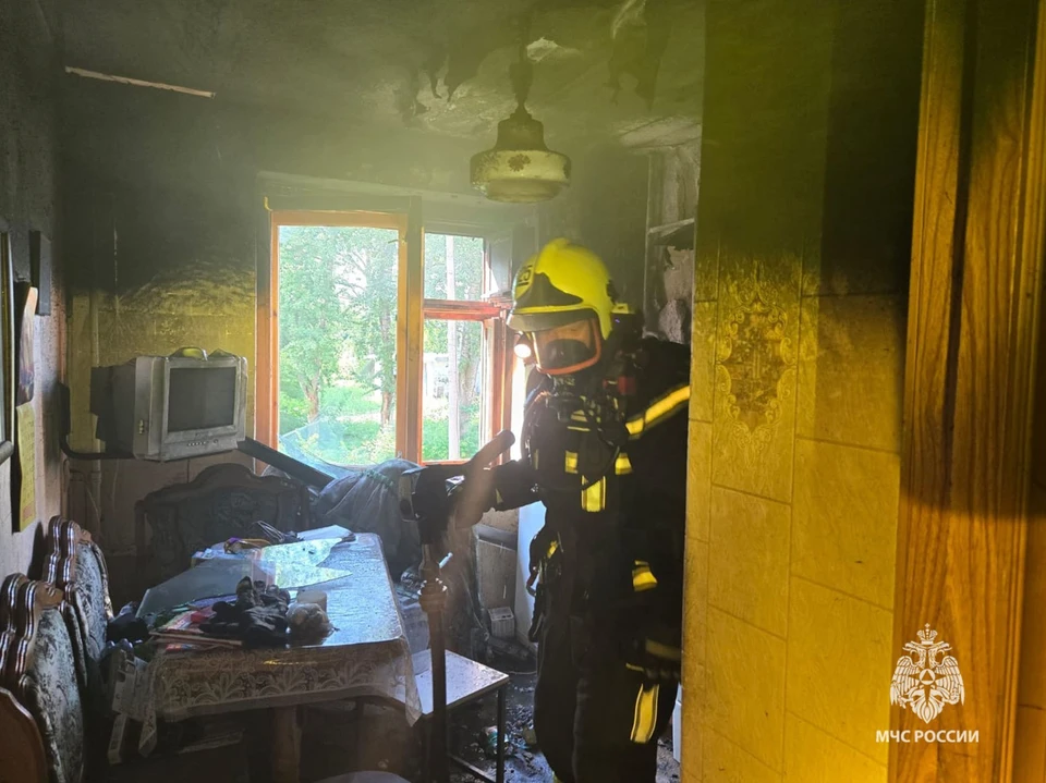 В Тульской области за сутки зарегистрировано два пожара