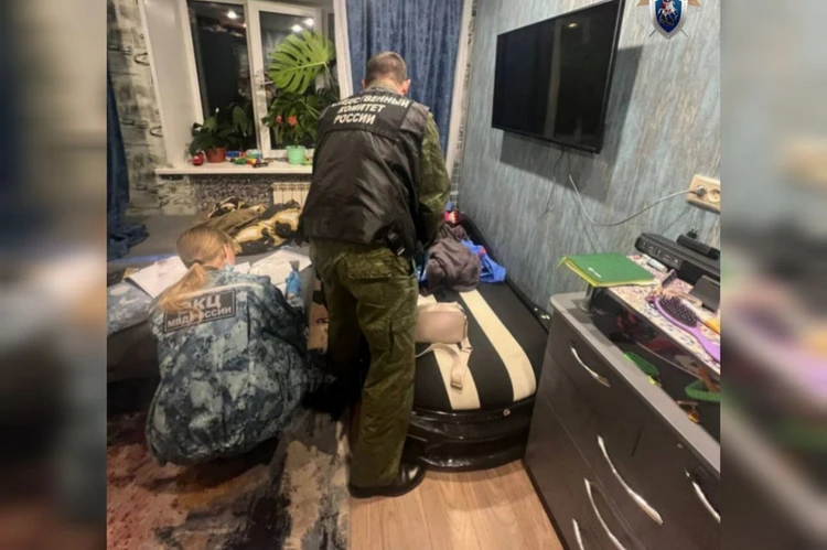 Участковый вовремя постучал в дверь и спас малыша: в Красноярске мать пыталась убить трехлетнего ребенка кухонным ножом