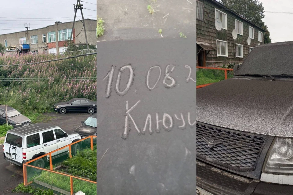 Черный пепел покрывает зелень, автомобили и улицы. Фото: соцсети