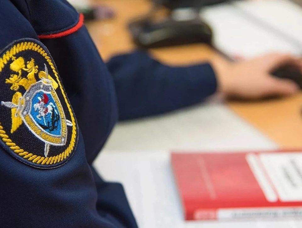 Сельчанка устроила резню на фоне затянувшегося бытового конфликта. Фото: СУ СК России по Томской области