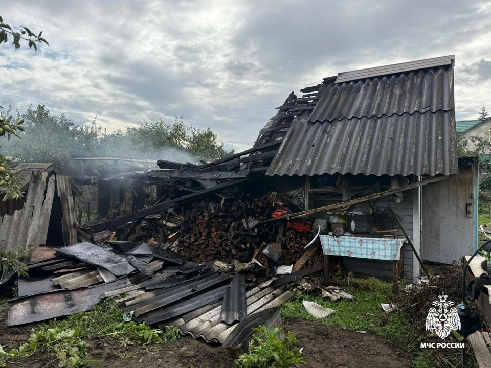 Фото: ГУ МЧС России по Костромской области