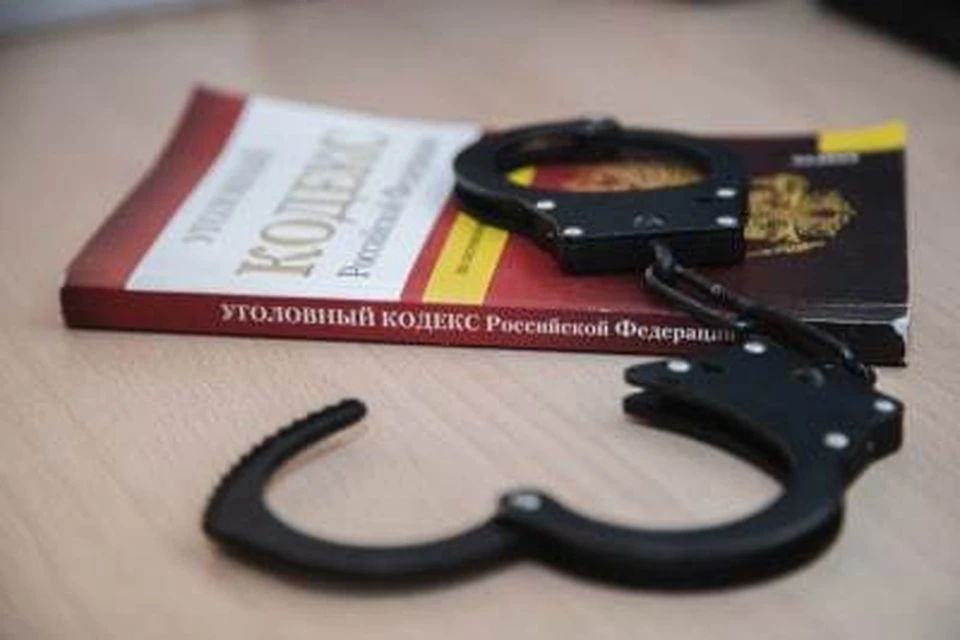 Расследование уголовного дела завершили. Фото: t.me/umvd_92