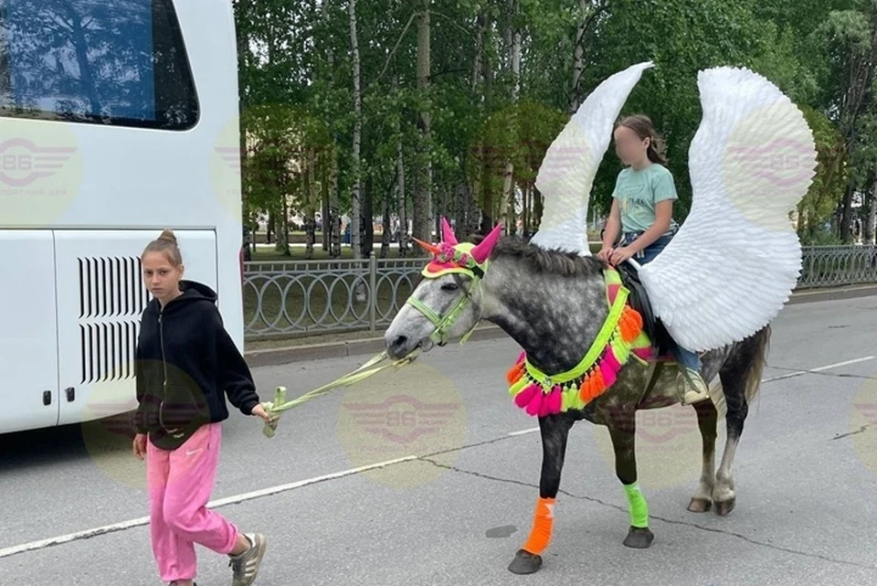 Фото: тг-канал Транспортный цех/Югра