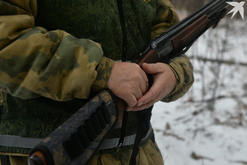 Мужчина охотился на казарок без разрешения.