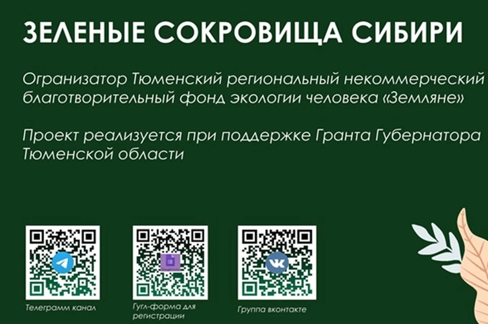 Фото: Зеленые сокровища Сибири во ВКонтакте