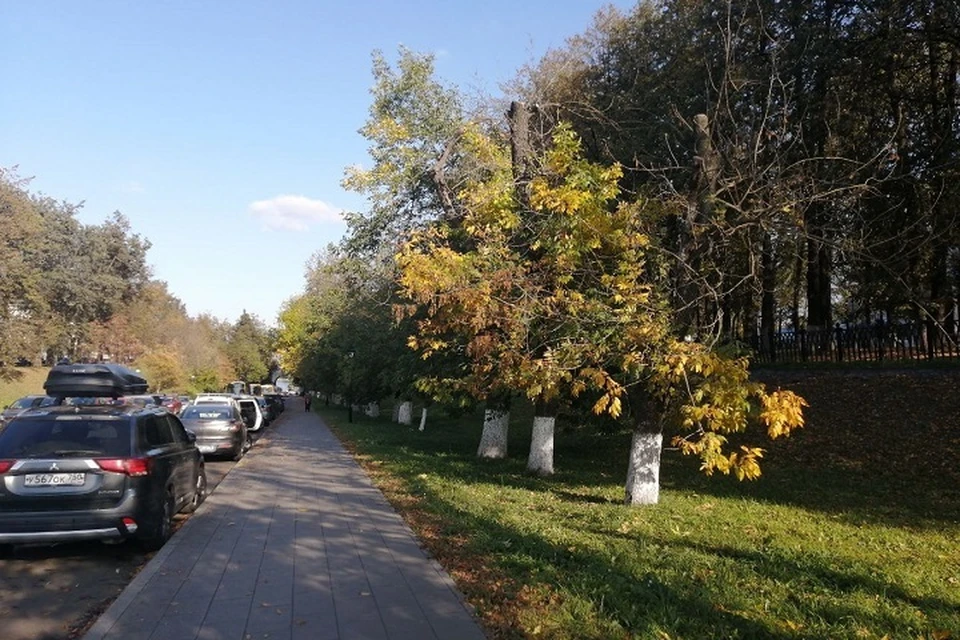 В Ярославле похолодает на этой неделе.