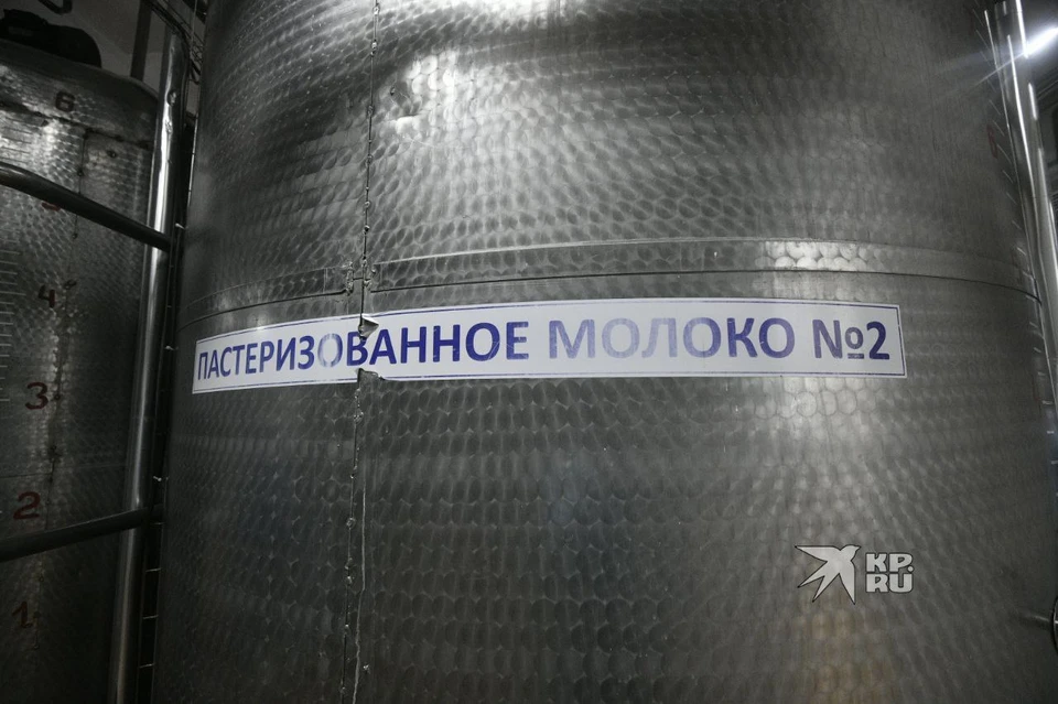 Производство молока увеличилось в регионе