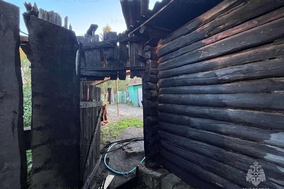 Фото: МЧС России по Тюменской области