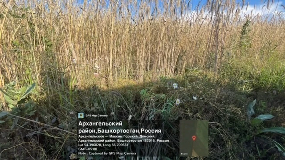 Фото: пресс-служба управления Россельхознадзора по РБ.