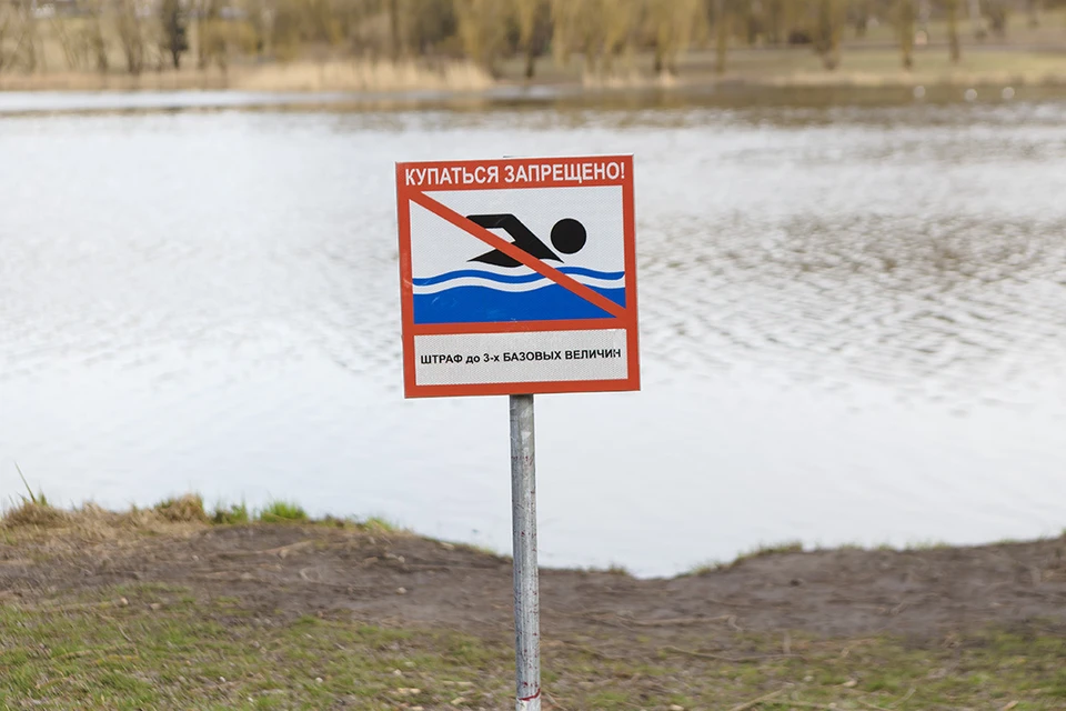 В Беларуси стартовал пилотный проект по мониторингу качества воды в Днепре.