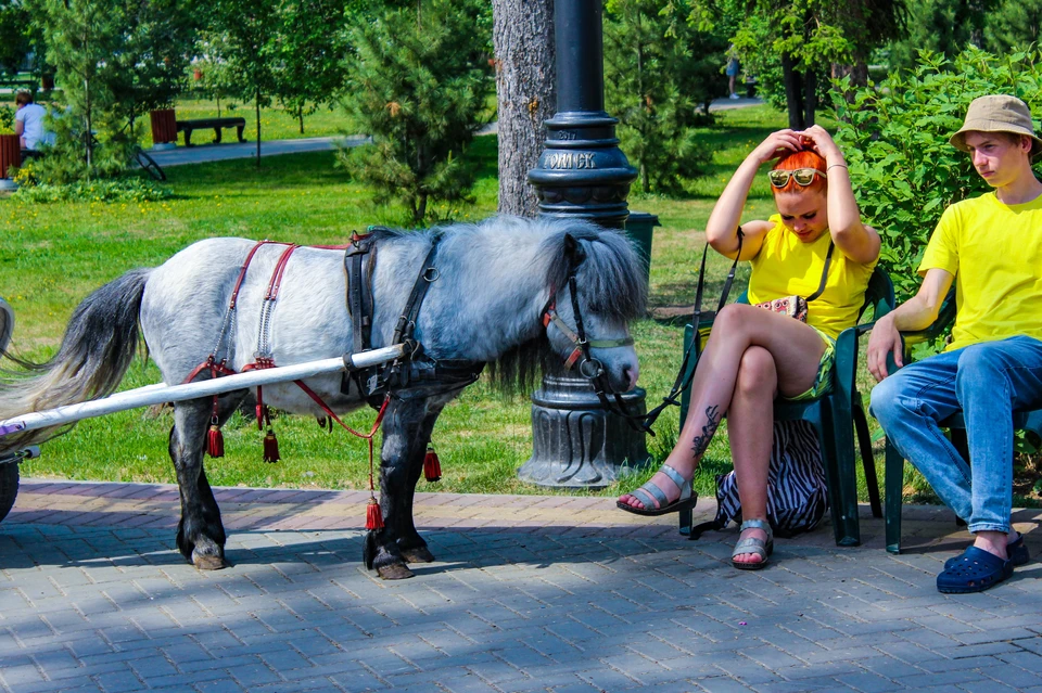 Дмитрий Еланаков