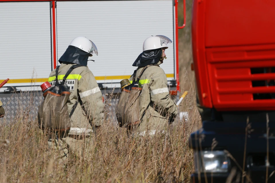 Общими усилиями добровольцы и пожарные смогли остановить огонь