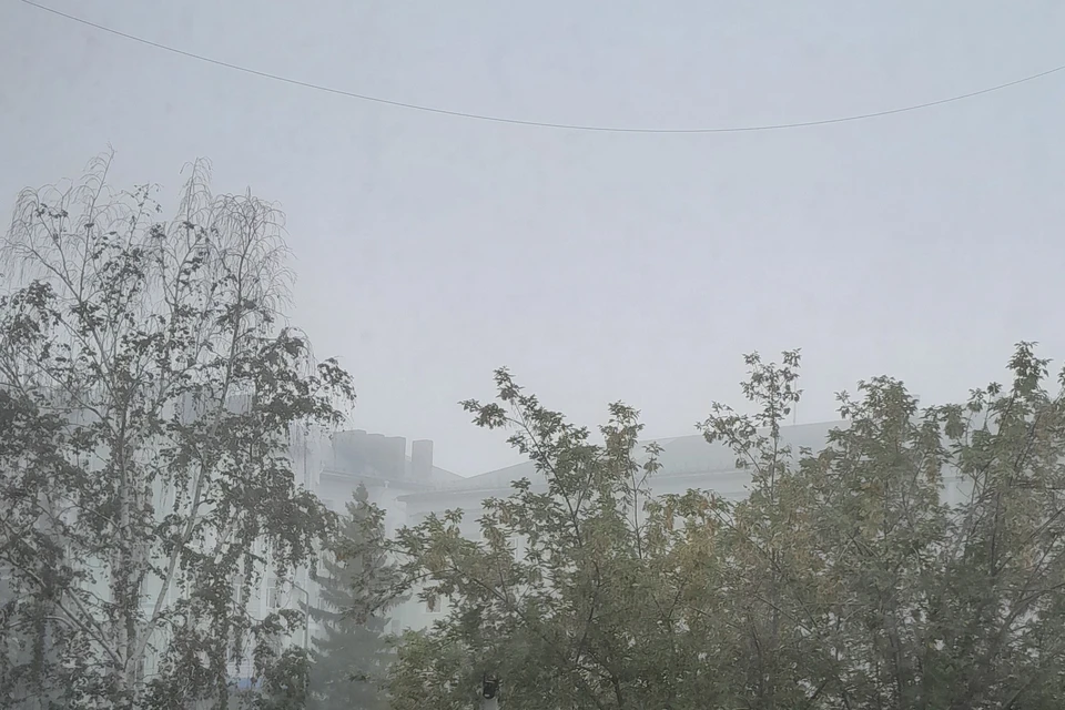 Утром в Кургане было всего +12 градусов. Фото: Читатель КП
