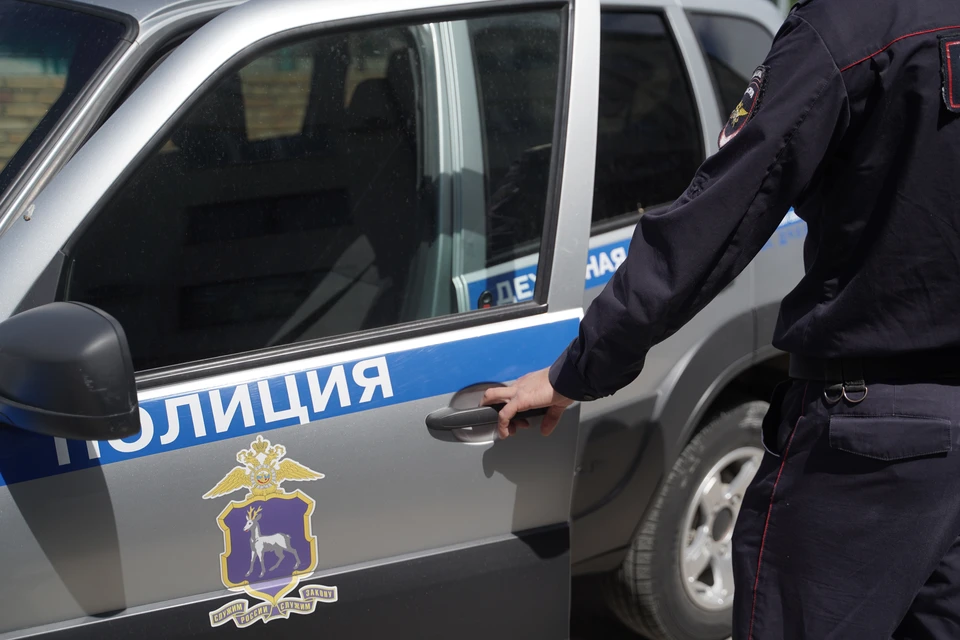 В Ростове полиция разыскивает поджигателей авто в одном из районов города.