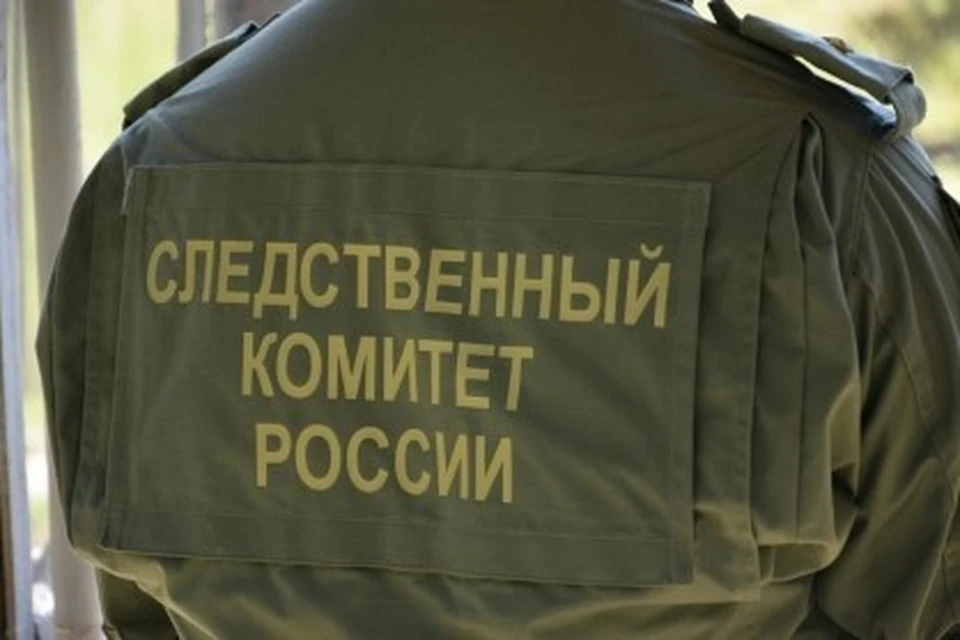 Фото: Пресс-служба регионального СК