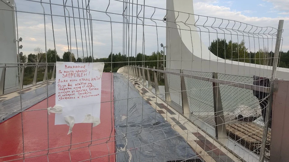 На мосту ремонтируют покрытие.