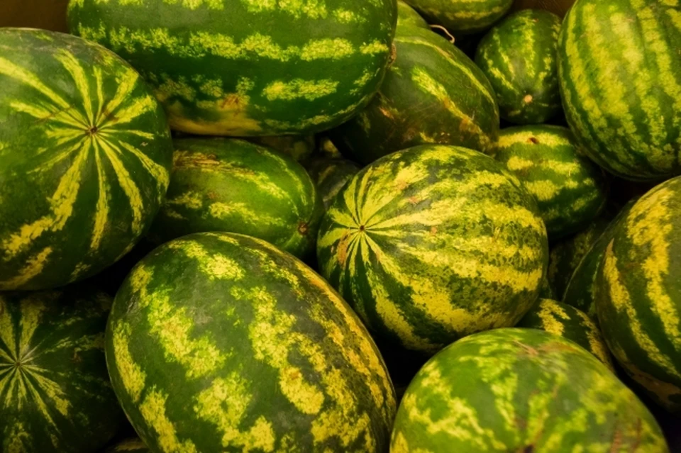 160 тонн подкарантинной продукции ввезено из Оренбургской области
