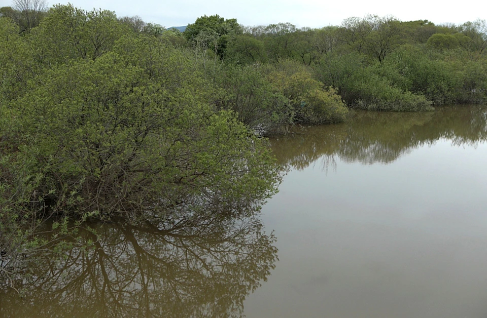 В среднем и нижнем течении рек бассейна Уссури вода поднялась на 0,1–1,8 метра. Фото: правительство Приморья