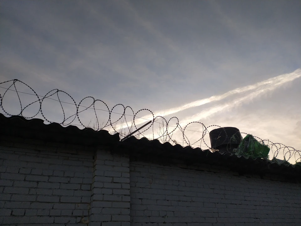УФСИН: отбывающий пожизненное главарь банды киллеров Гагиев не уходил на СВО