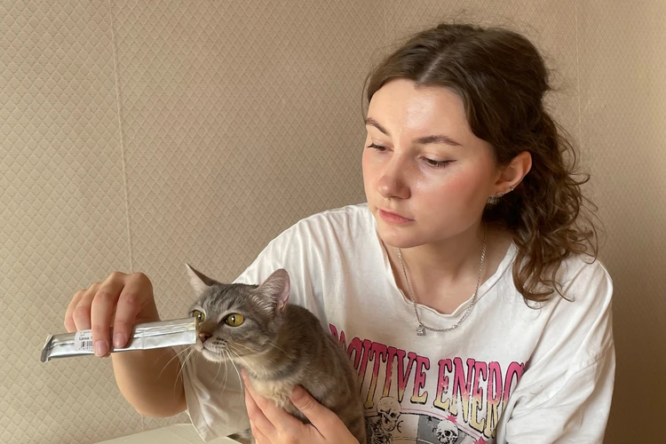 Кот, не наглей: ветеринар объяснил, как правильно баловать своего питомца