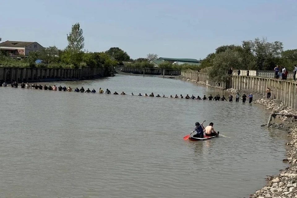 Искали прямо в воде, выстроившись живой цепью примерно в 40-60 метров. Фото: администрация Кизляра.