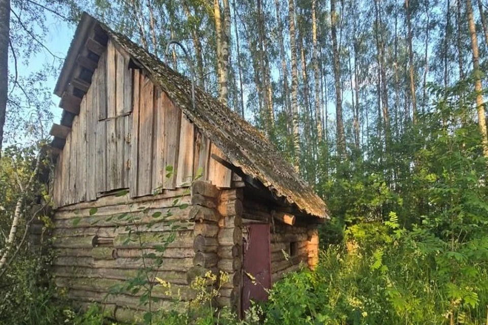 Многие владельцы лачуг снесли их самостоятельно.