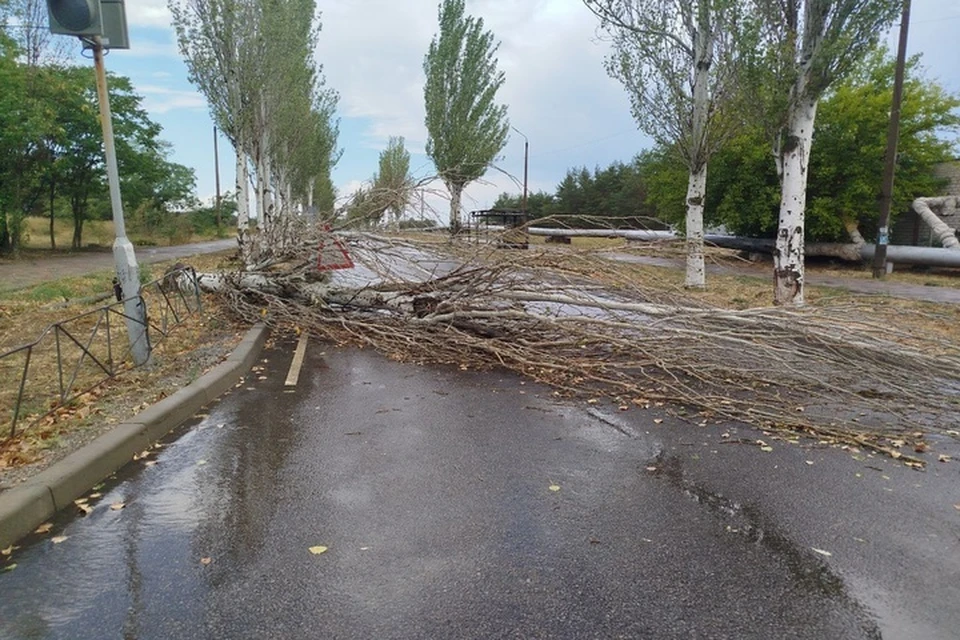Буря оставила в Энергодаре поломанные деревья. Фото: тг-канал Максима Пухова