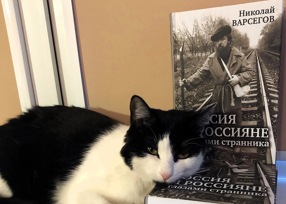 Хорошее слово и кошке приятно