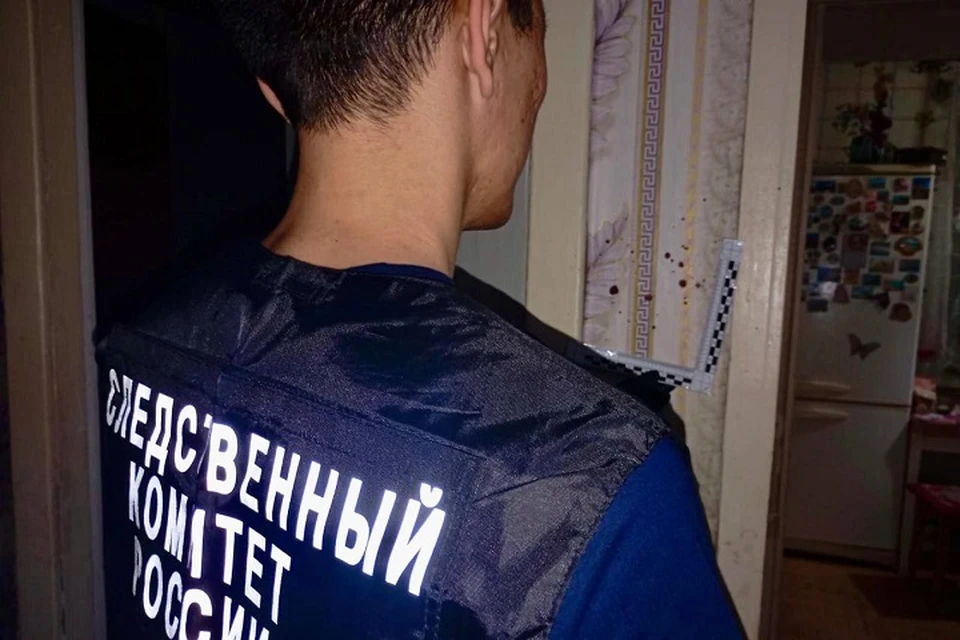 Тело нашла дочь: в Ленске задержали подозреваемого в смертельном избиении женщины. Фото: телеграм-канал Следкома Якутии