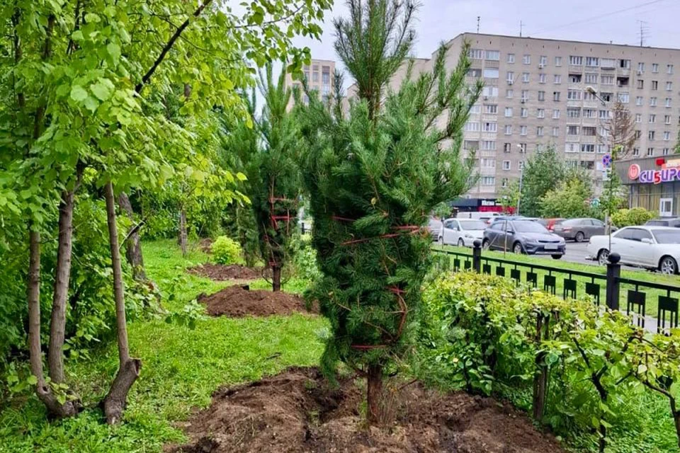 Работы ведутся на аллеях со стороны улиц Каменской и Ядринцевской. Фото: Телеграм-канал Максима Кудрявцева
