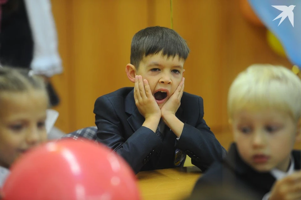 Родители спросили, обязаны ли дети посещать платные факультативы. Фото используется в качестве иллюстрации: архив «КП».