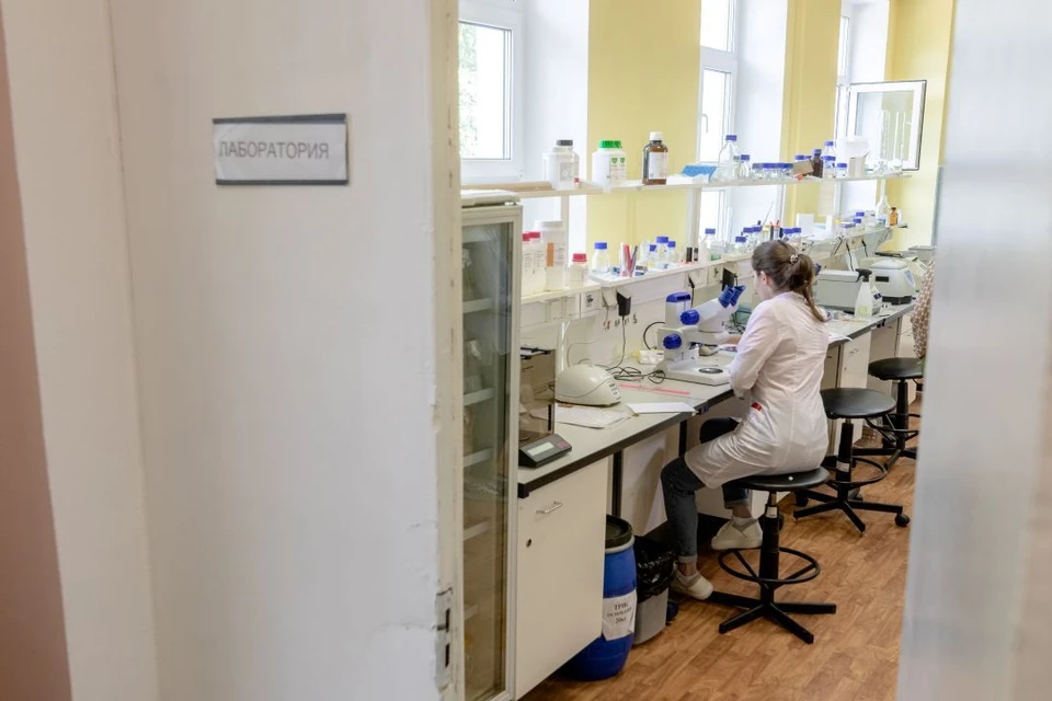 20 молодых учёных получили по 100 тысяч рублей за разработки в медицине, энергетике и сельском хозяйстве